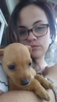 Cachorro