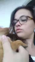 Cachorro