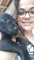 Cachorro