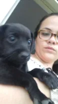 Cachorro