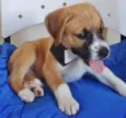 TICO