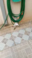 não tem nome