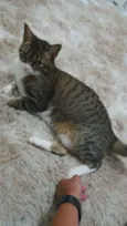 Nina