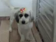 Clara