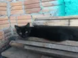 Cléo, Lili, Mimi, Me