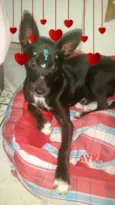 AYKA