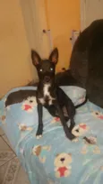 AYKA