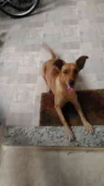 Mel