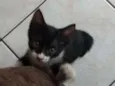 Bruce Wayne