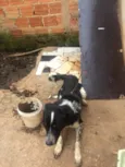 Rage.       Spaik 