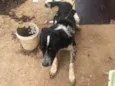 Rage. Spaik