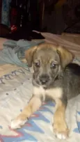 Docinho e florzinha
