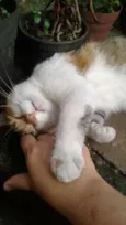 Princesa