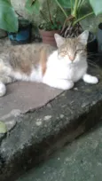 Princesa