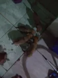 Ainda não tem