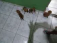 Ainda não tem