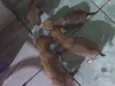 Ainda não tem