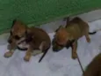 Ainda não tem