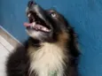 madruga