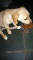 Marley