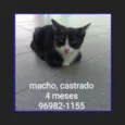 Paolo