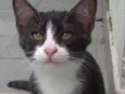 Paolo