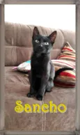 Sancho