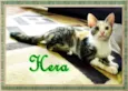 Hera