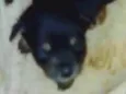 Sem nome