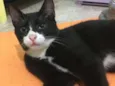 George