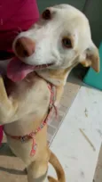 Mel