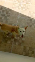 Mel