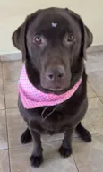 Lola