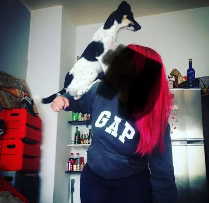 Cachorro raça SRD idade 2 anos nome Boo