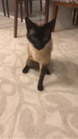 Charlie