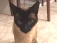 Charlie