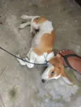 ?