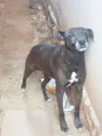 Negão 
