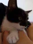 Tommy, Billy 