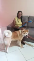 Sansão