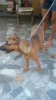 LUMA