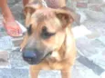 LUMA