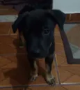 Fred