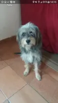 Bily