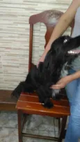 Rabitto