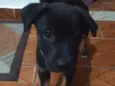 Fred