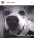 Shake