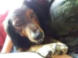 Marley