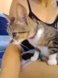 Mima e ravena