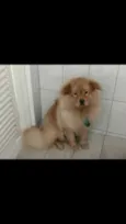 Bob